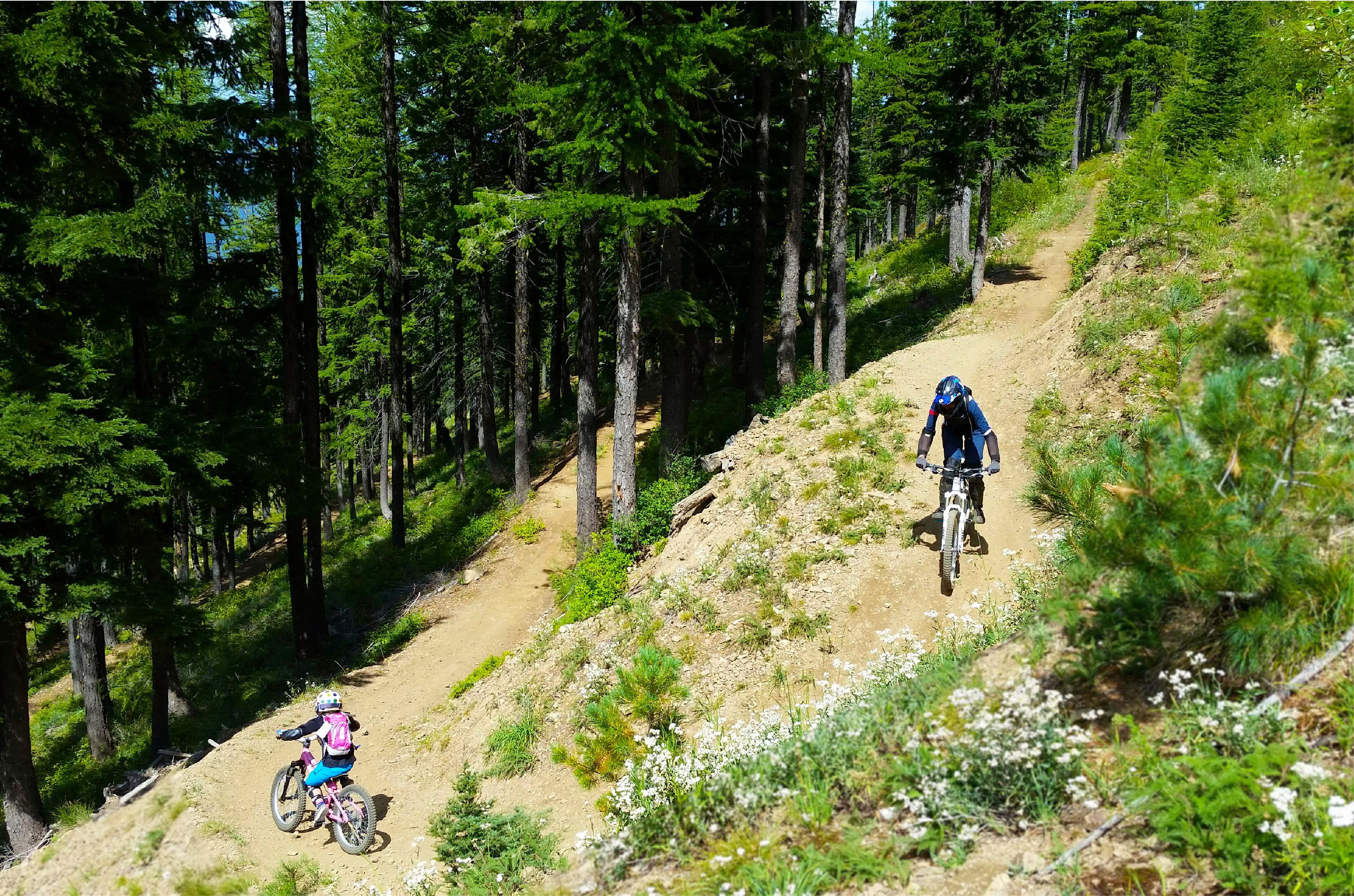 Silver mountain bike park deals
