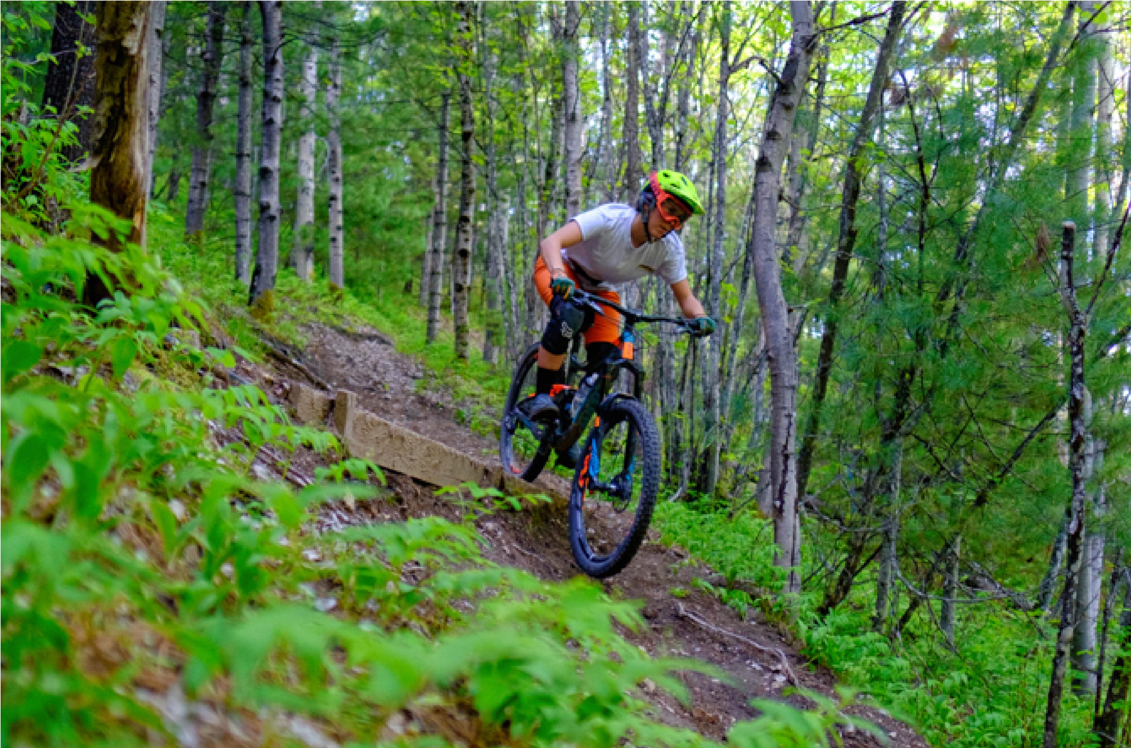 Person riding a bike down a dirt trail with green plants on either side