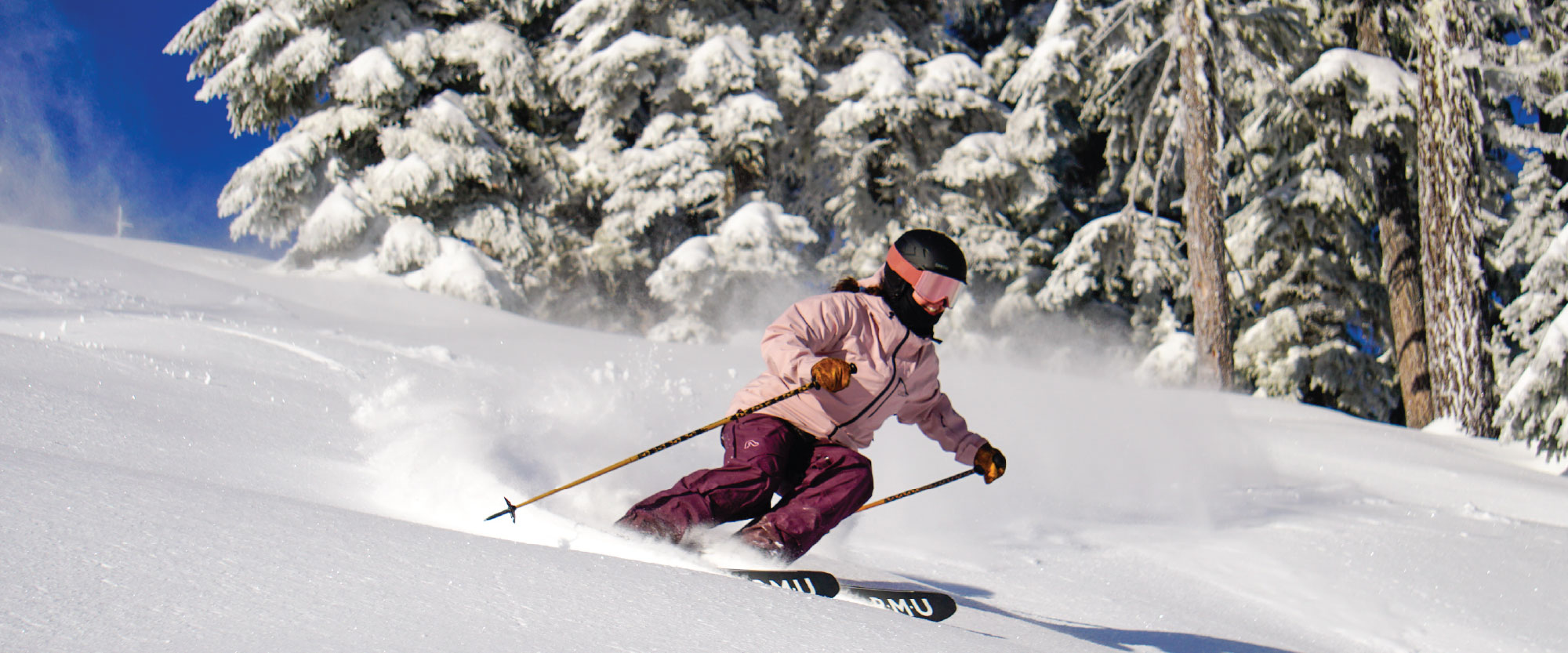 Skiing and Snowboarding