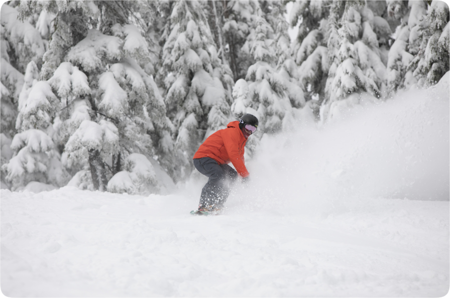 Season Passes